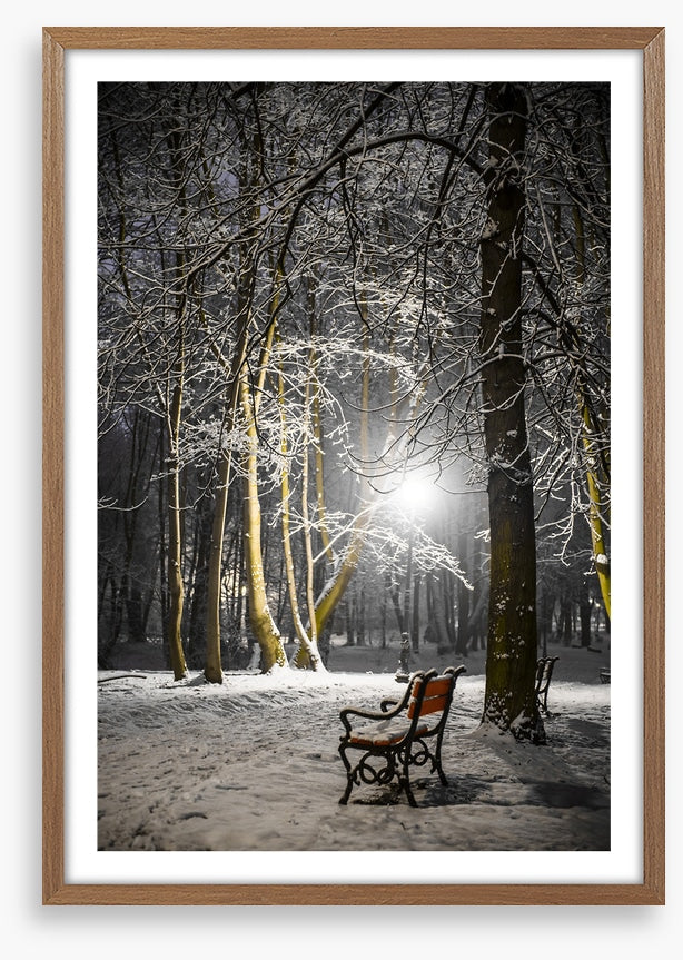 Alone in the midnight snow