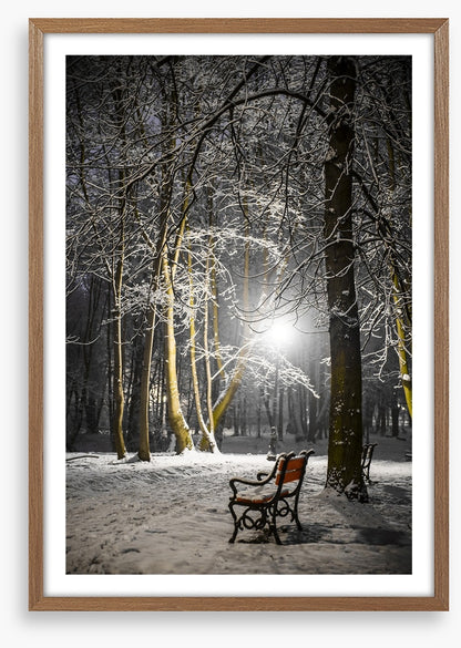 Alone in the midnight snow