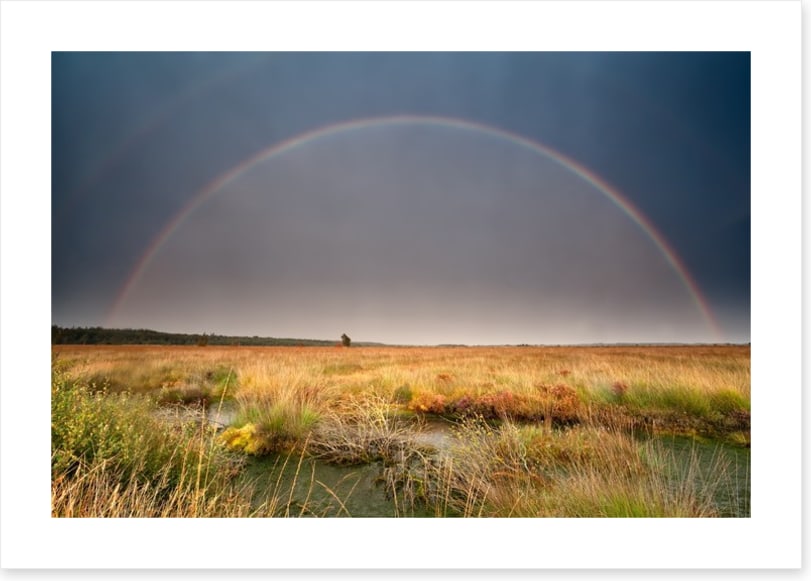 Rainbows