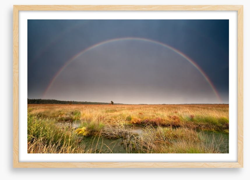 Rainbows