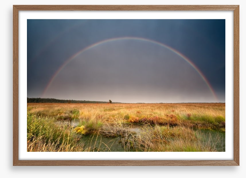 Rainbows