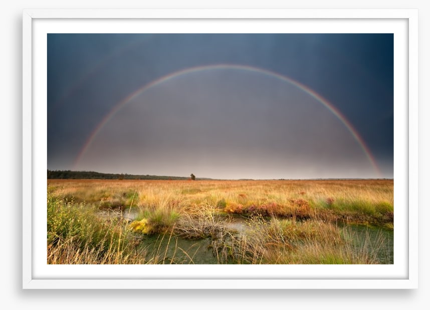 Rainbows