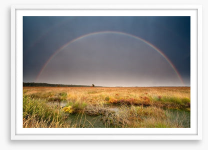Rainbows