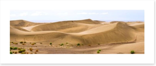 Desert