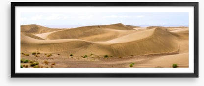 Desert