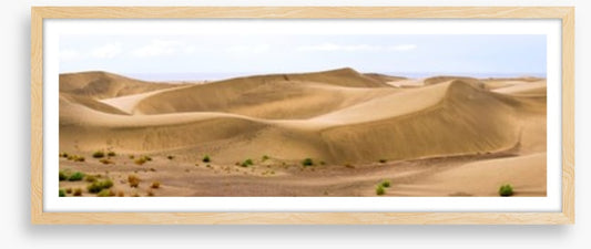 Desert