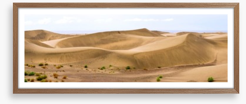 Desert
