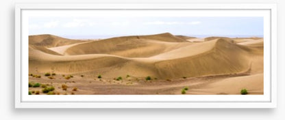 Desert