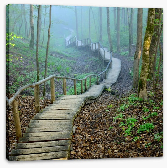The forest stairway
