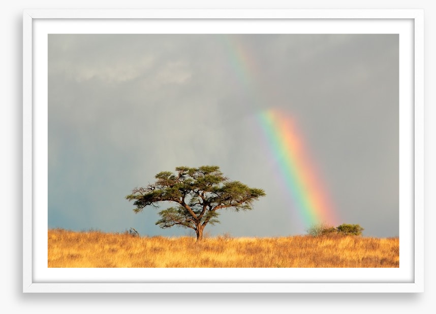 Rainbows