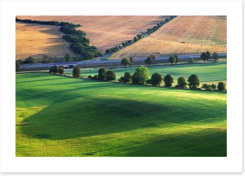 Meadows