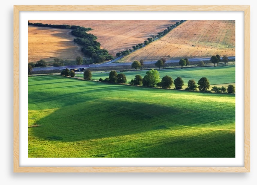 Meadows