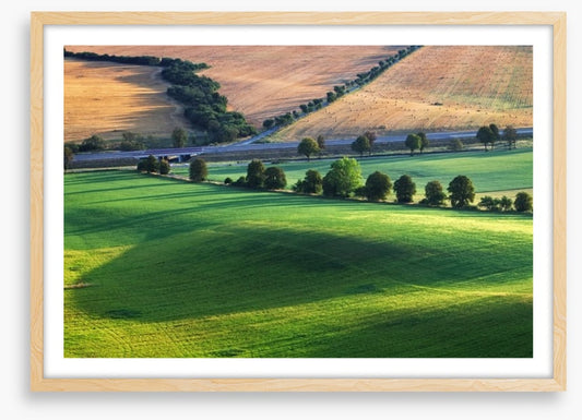 Meadows
