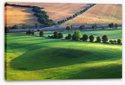 Meadows