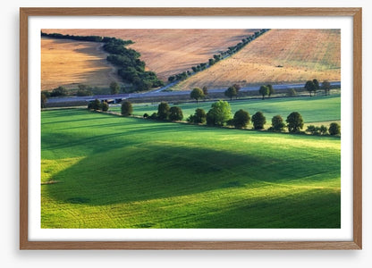 Meadows