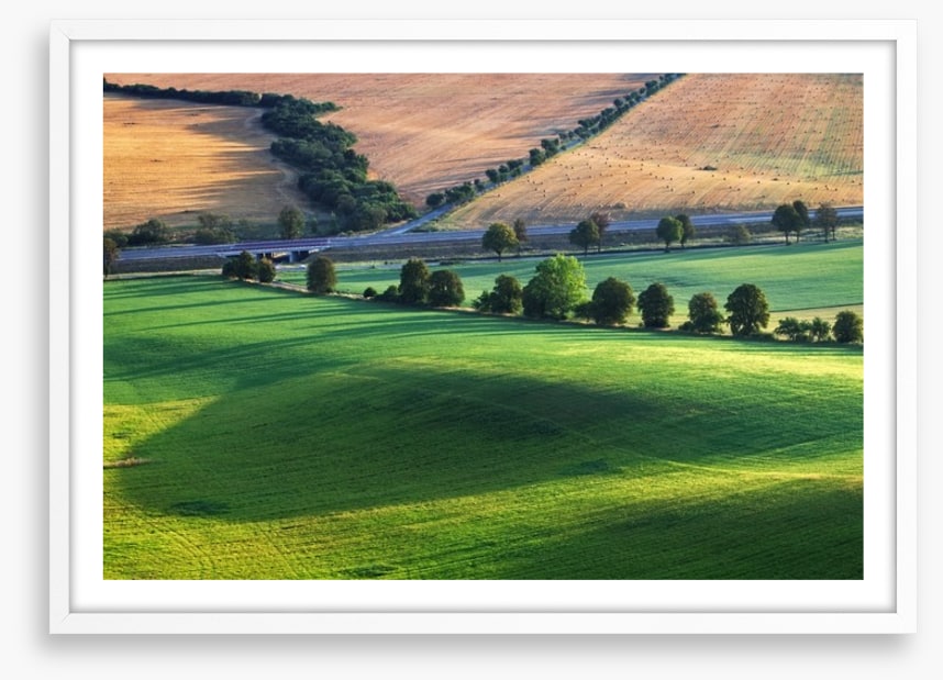 Meadows