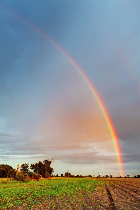 Rainbows