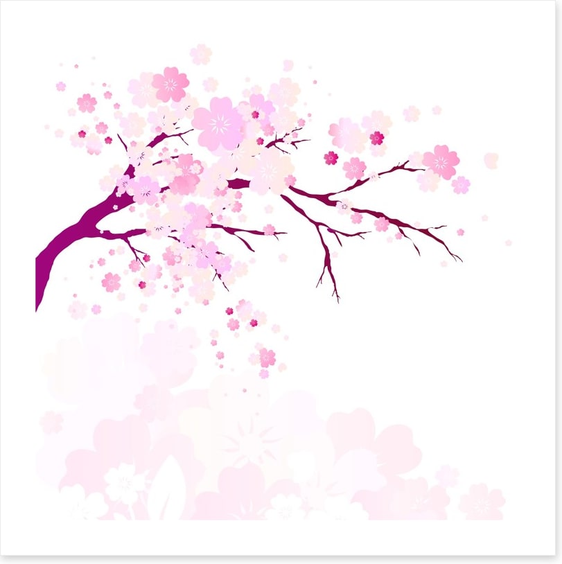 Pink flowers fall