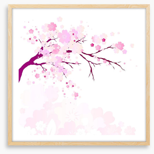 Pink flowers fall