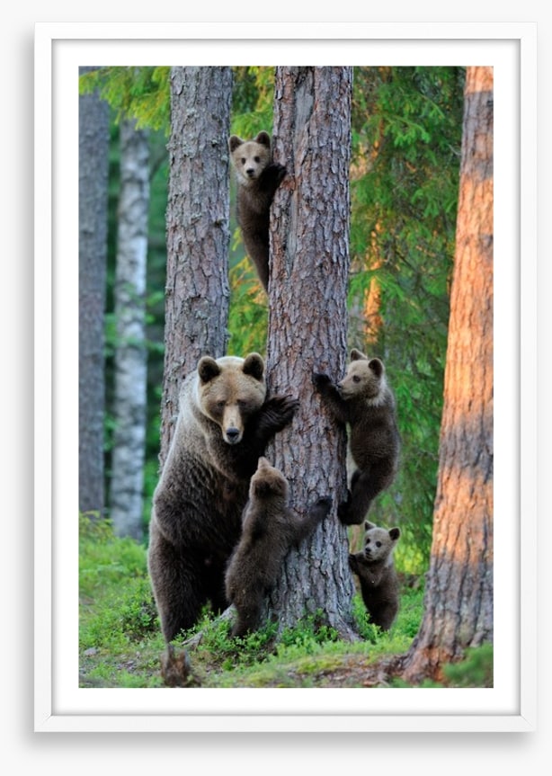 Hide and seek