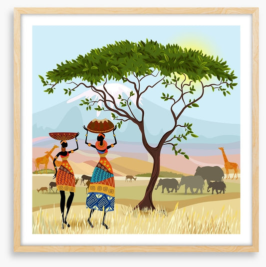 By the acacia tree