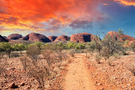 Sunburnt country