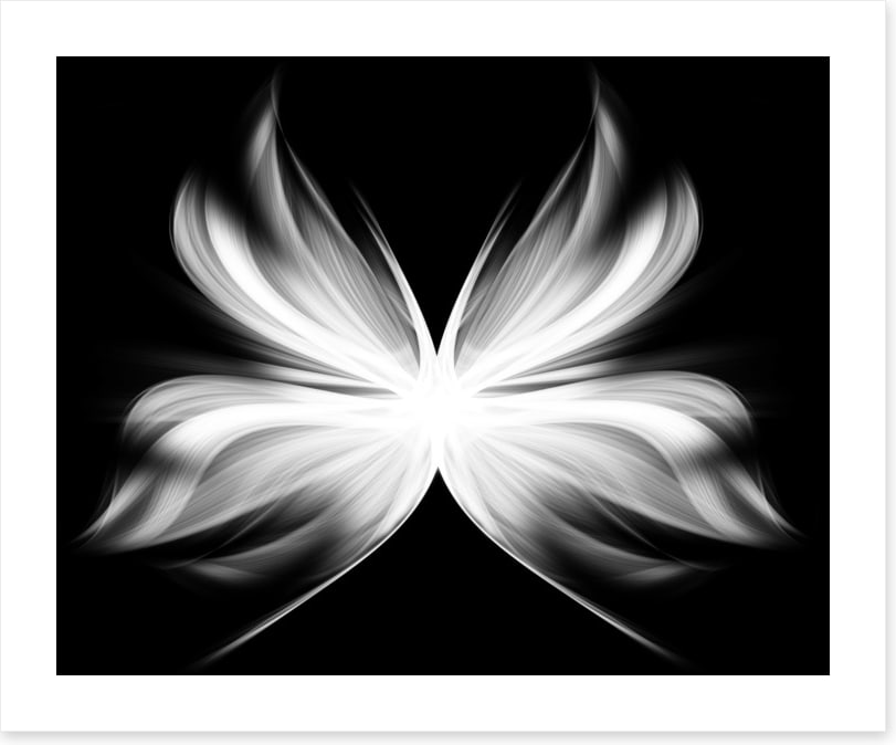 Wings of transition
