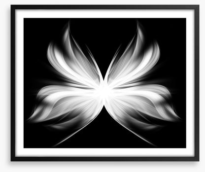 Wings of transition