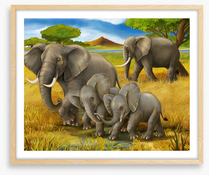Animal Friends