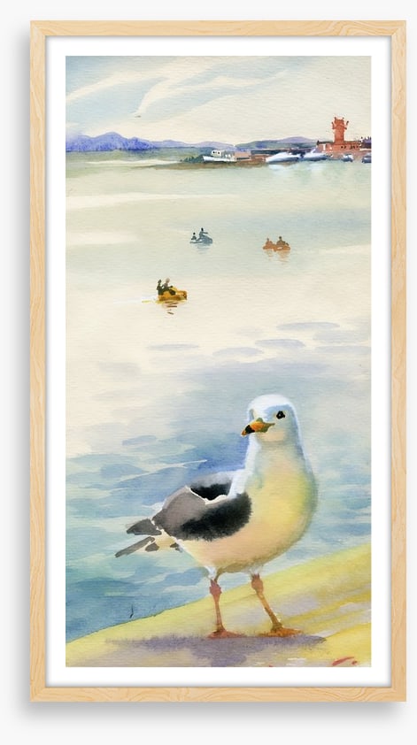 The inquisitive seagull