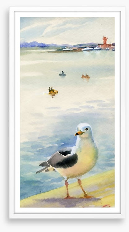 The inquisitive seagull