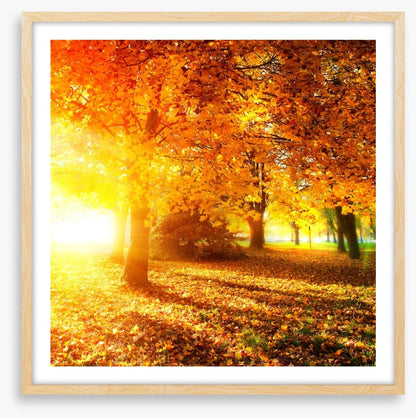 Autumn leaves in sunlight rays