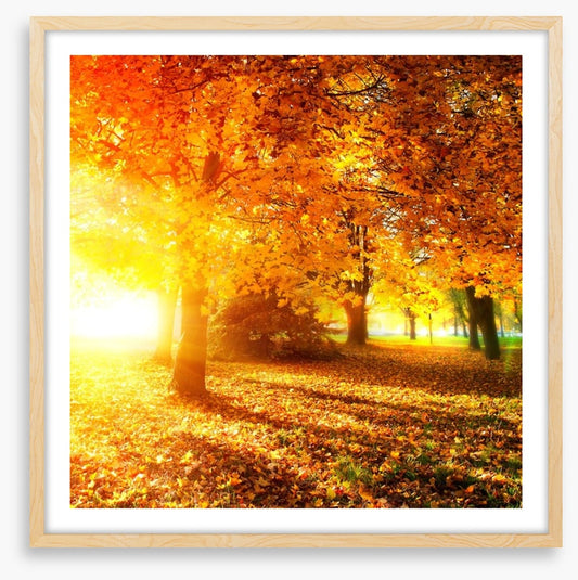 Autumn leaves in sunlight rays