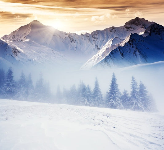 Winter in the mountains
