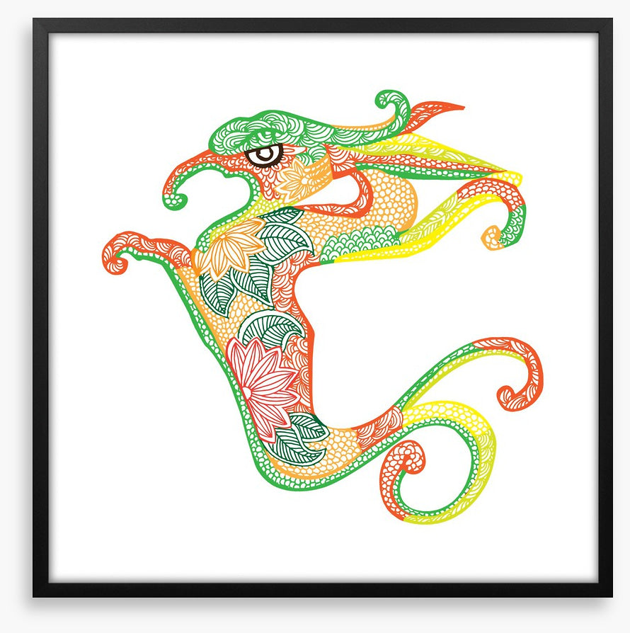 Dragons