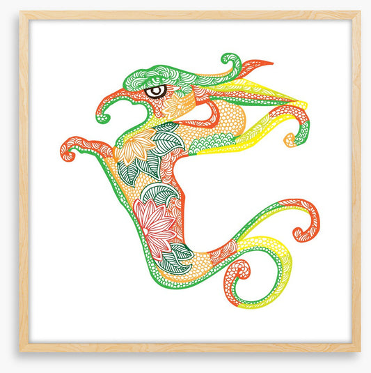 Dragons