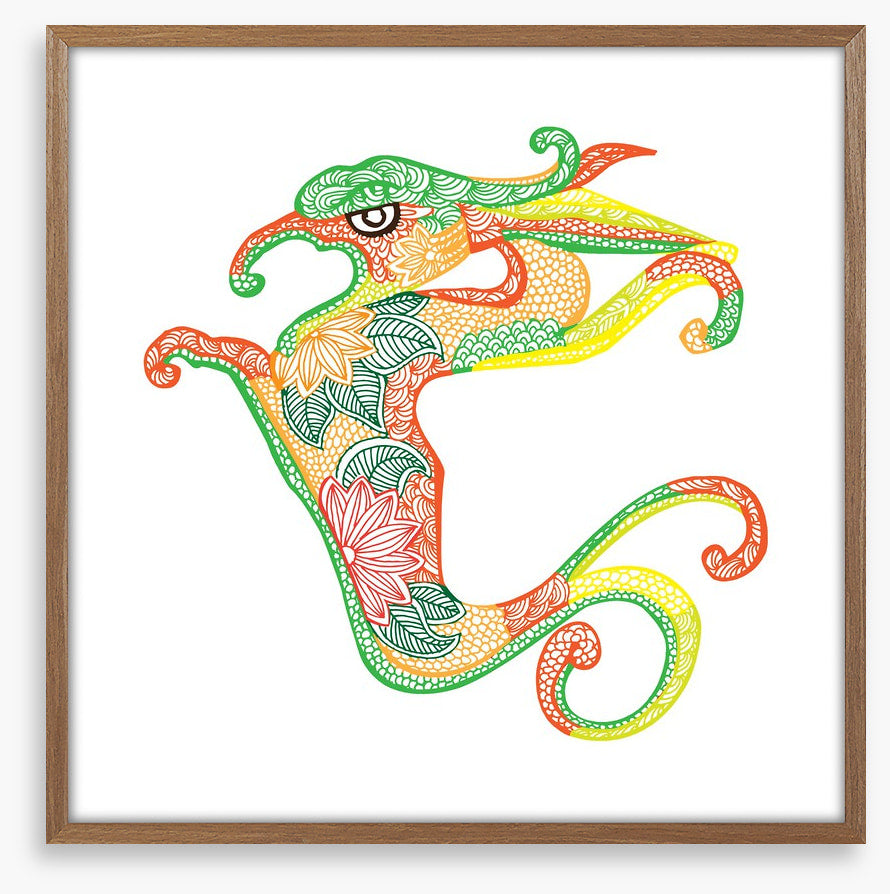 Dragons