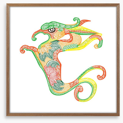 Dragons