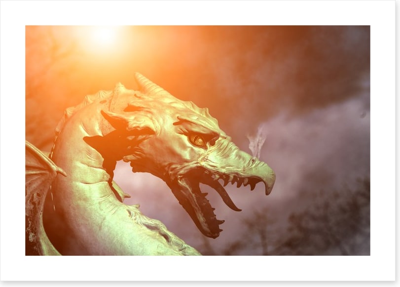 Dragons