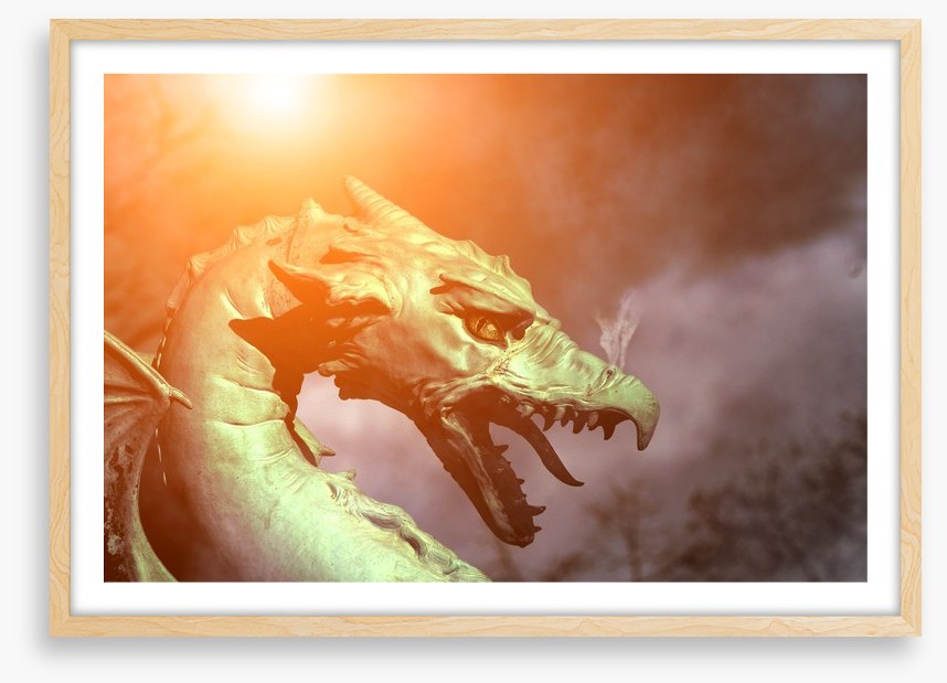 Dragons