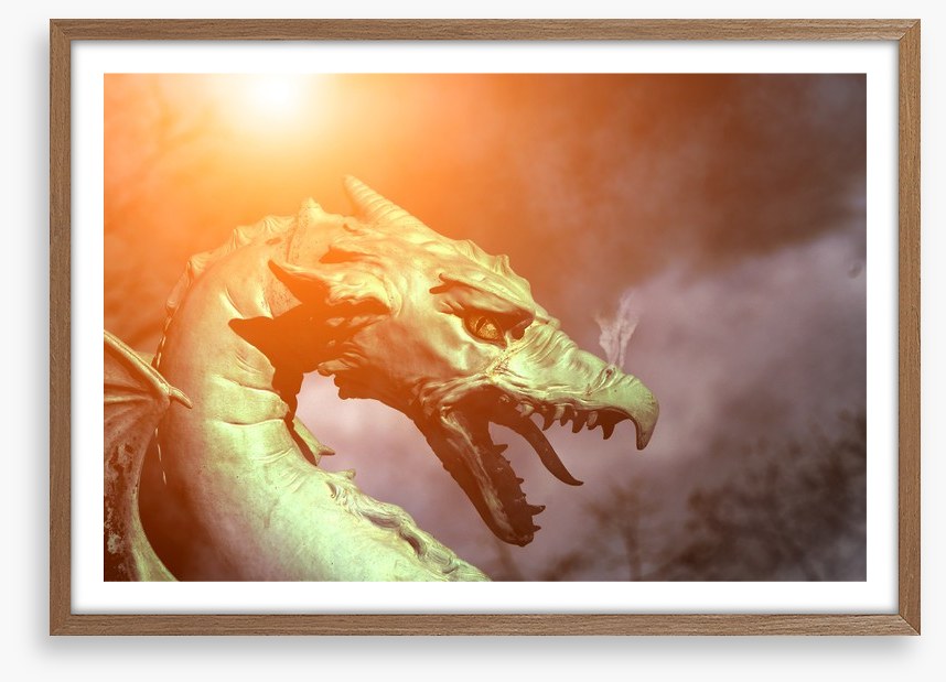 Dragons