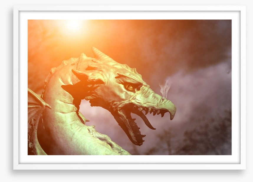 Dragons