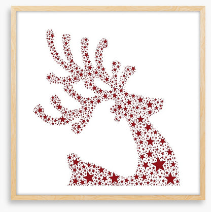 Starry, starry reindeer