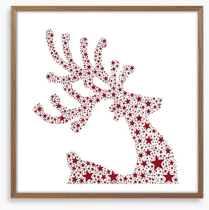 Starry, starry reindeer