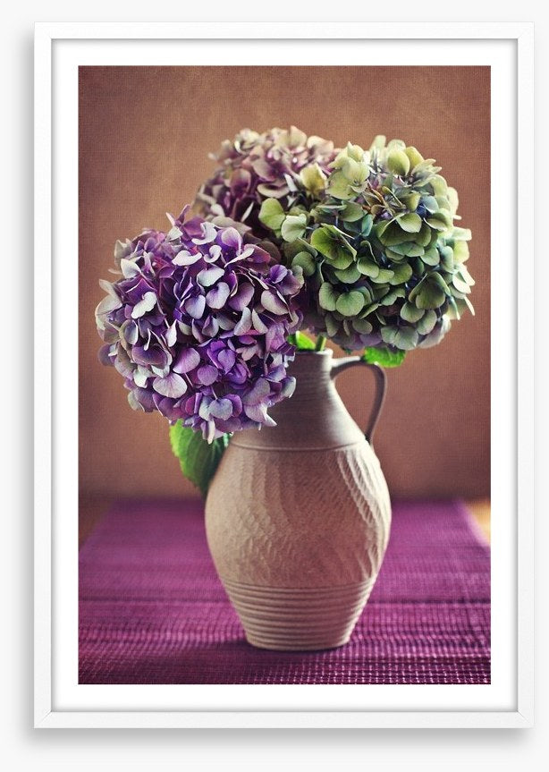 Hortensia bloom