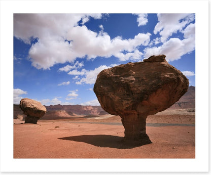 Desert