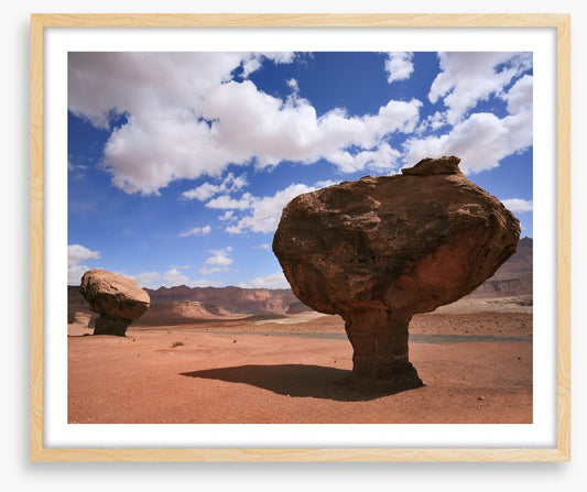 Desert