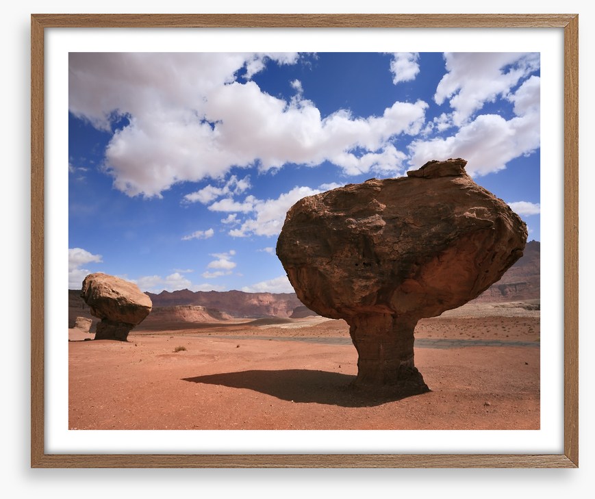 Desert