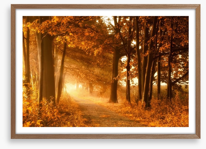 Autumn