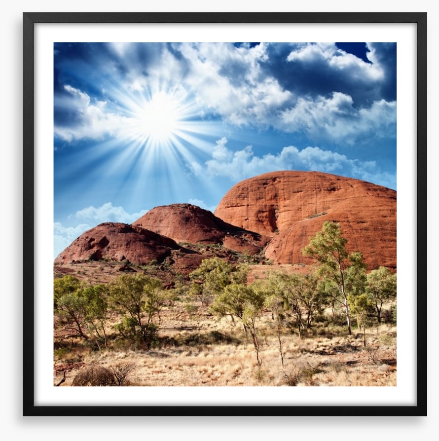 Under the shimmering sun